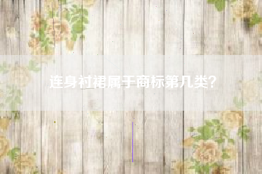 连身衬裙属于商标第几类？