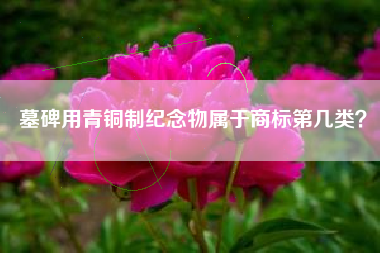 墓碑用青铜制纪念物属于商标第几类？