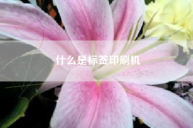 什么是标签印刷机