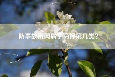 防事故用网属于商标第几类？