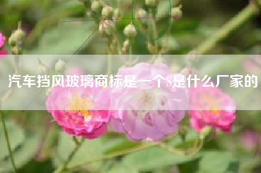 汽车挡风玻璃商标是一个S是什么厂家的