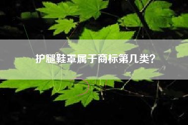 护腿鞋罩属于商标第几类？