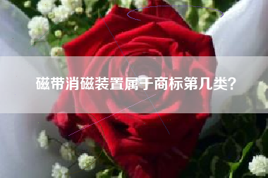 磁带消磁装置属于商标第几类？