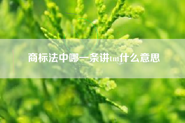 商标法中哪一条讲tm什么意思
