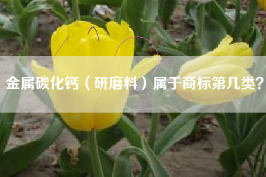 金属碳化钙（研磨料）属于商标第几类？