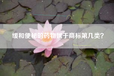 缓和便秘的药物属于商标第几类？