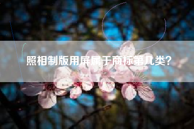 照相制版用屏属于商标第几类？