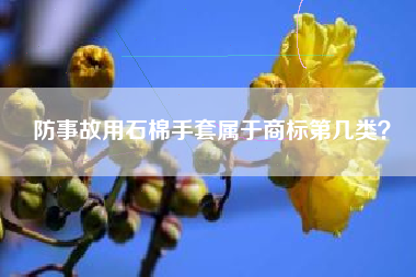 防事故用石棉手套属于商标第几类？