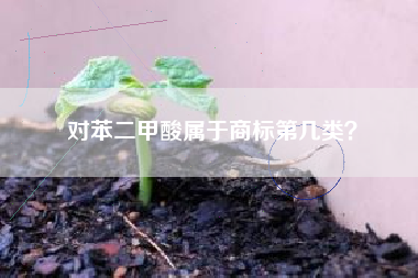 对苯二甲酸属于商标第几类？