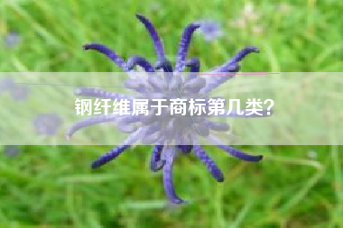钢纤维属于商标第几类？