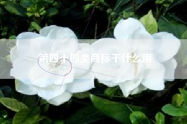第四十四类商标干什么用