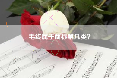 毛线属于商标第几类？
