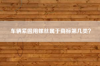 车辆紧固用螺丝属于商标第几类？