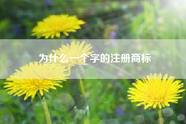 为什么一个字的注册商标