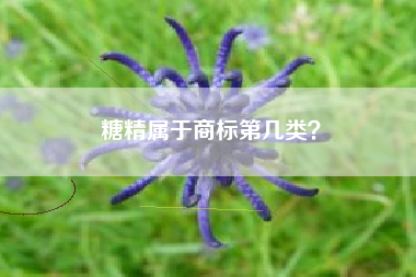 糖精属于商标第几类？