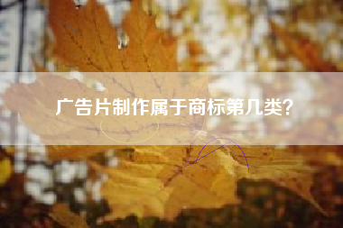 广告片制作属于商标第几类？