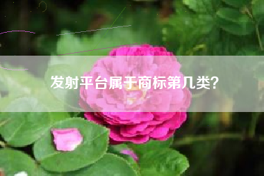 发射平台属于商标第几类？