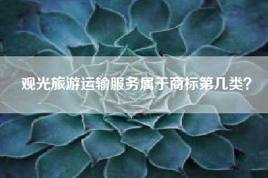 观光旅游运输服务属于商标第几类？
