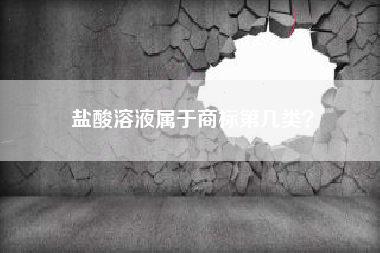 盐酸溶液属于商标第几类？