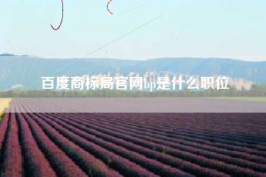 百度商标局官网bp是什么职位