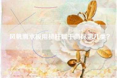 风帆滑水板用桅杆属于商标第几类？