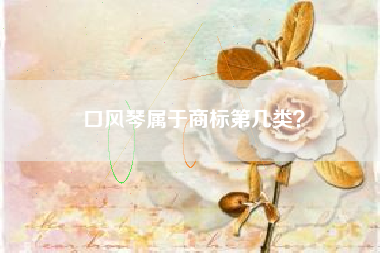 口风琴属于商标第几类？