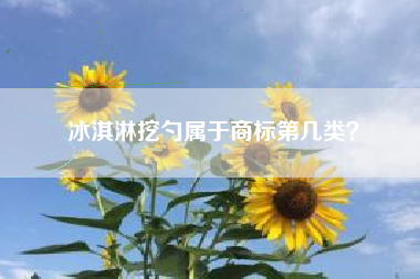 冰淇淋挖勺属于商标第几类？