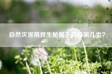自然灾害用救生舱属于商标第几类？