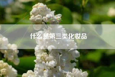 什么是第三类化妆品