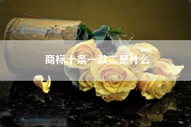 商标十条一款二是什么