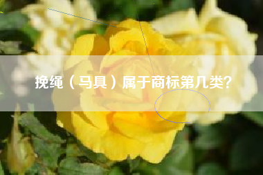 挽绳（马具）属于商标第几类？