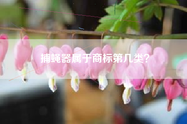 捕蝇器属于商标第几类？