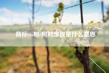 商标tm和r同时出现是什么意思