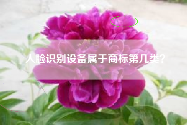 人脸识别设备属于商标第几类？