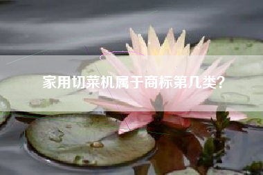 家用切菜机属于商标第几类？