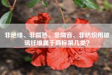 非绝缘、非隔热、非隔音、非纺织用玻璃纤维属于商标第几类？