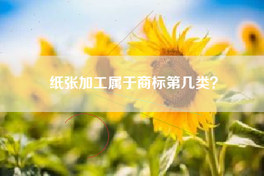 纸张加工属于商标第几类？