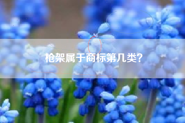 枪架属于商标第几类？