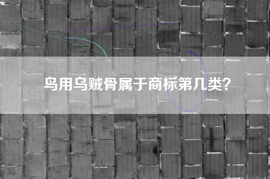 鸟用乌贼骨属于商标第几类？