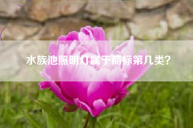 水族池照明灯属于商标第几类？