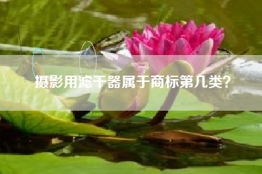 摄影用滤干器属于商标第几类？
