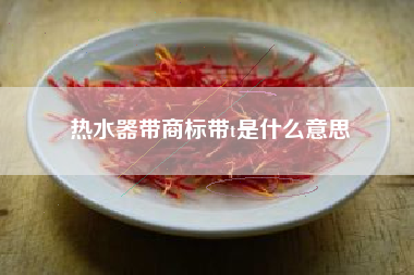 热水器带商标带t是什么意思