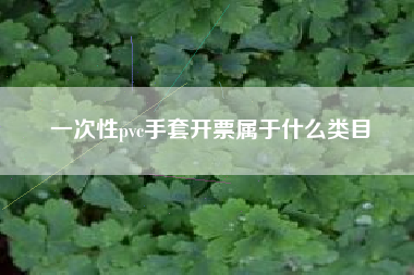 一次性pvc手套开票属于什么类目