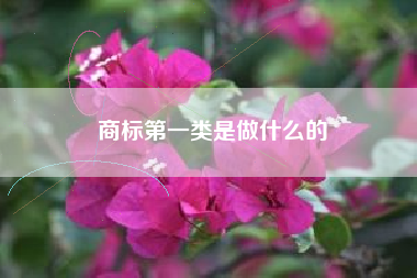 商标第一类是做什么的