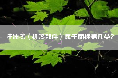 注油器（机器部件）属于商标第几类？