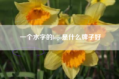 一个水字的logo是什么牌子好