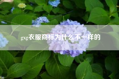 gxg衣服商标为什么不一样的