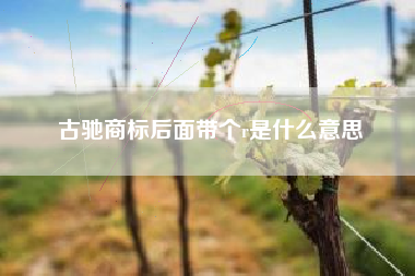 古驰商标后面带个r是什么意思