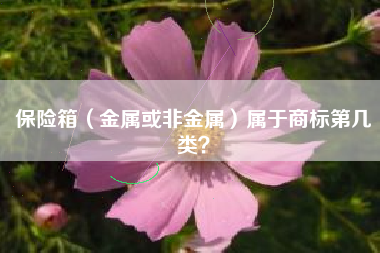 保险箱（金属或非金属）属于商标第几类？