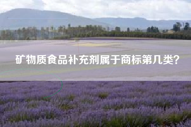 矿物质食品补充剂属于商标第几类？
